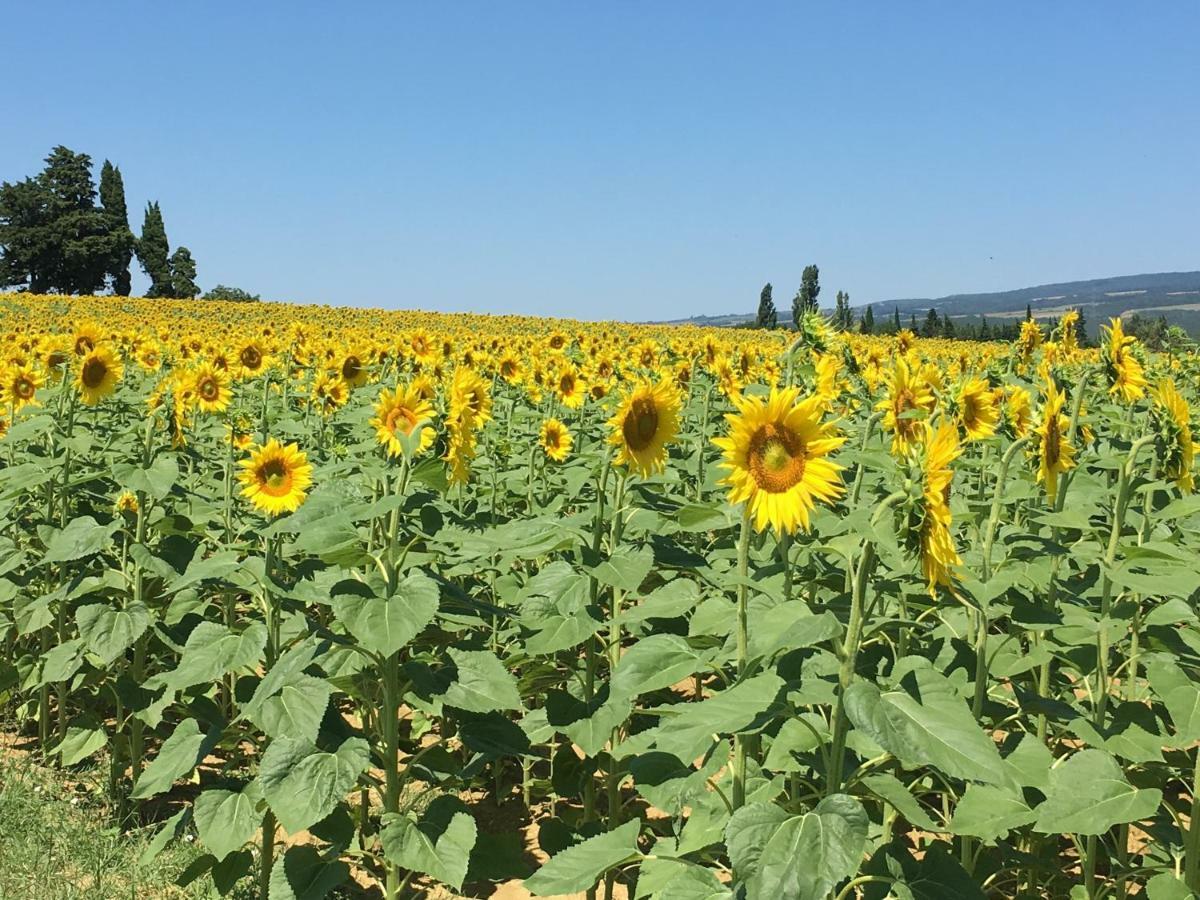 L'Enquenouille Basse Vendégház Verdun-en-Lauragais Kültér fotó